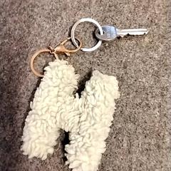 Nøkkel, som rapportert av Gemeente Puurs-Sint-Amands ved bruk av iLost