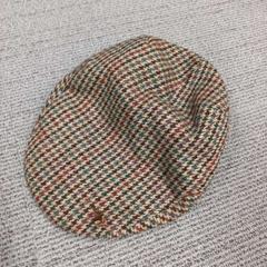 Pet, zoals gemeld door Arriva West-Brabant met iLost