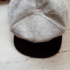 Pet, zoals gemeld door DierenPark Amersfoort met iLost