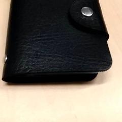 باسجيشودر، كما تم الإبلاغ عنه بواسطة RET عبر iLost