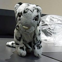 Knuffel tijger & Tijger, come riportato da SnowWorld Landgraaf utilizzando iLost