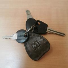 Sleutelbos, zoals gemeld door Gemeente Zutphen met iLost