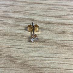 Boucle d'oreille, a été signalé par Diakonessenhuis Utrecht utilisant iLost