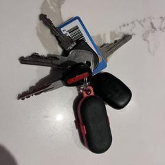 Sleutelbos met oordoppen, ako bolo nahlásené iLost