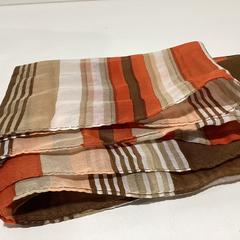 Sjal Oranje - 281225 DISN3, rapporterat av Ziggo Dome med iLost