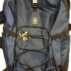 Motxilla, segons ha informat RET mitjançant iLost