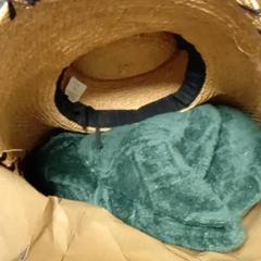 Hat, as reported by Mövenpick Hotel Amsterdam City Centre using iLost