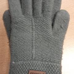 Handschuhe Grijs, gemeldet von Arriva Vechtdallijnen über iLost