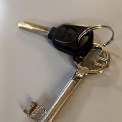 Schlüssel, gemeldet von Padualaan 99 über iLost