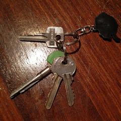 Sleutel bos, amint azt az iLostnak jelentették.