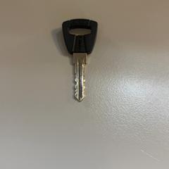 Fahrradschlüssel, gemeldet von Padualaan 101 über iLost