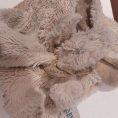 블랭키 beige, iLost를 사용하여 TCL에 보고됨