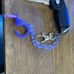 Chave da bicicleta met paars kettinkje, segundo informou Paaspop 2025 usando iLost