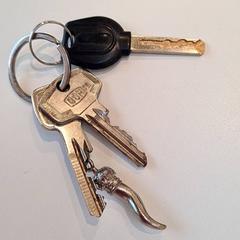 Schlüssel, gemeldet von Gemeente Baarn über iLost