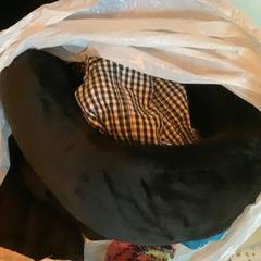 Clothes & Neck pillow Various, black, jak nahlášeno MEININGER Hotel Köln West pomocí iLost