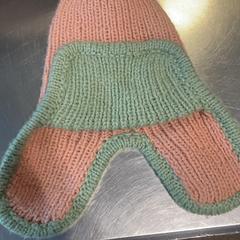 Muts Kind, iLost를 사용하여 Burgers' Zoo에 보고됨