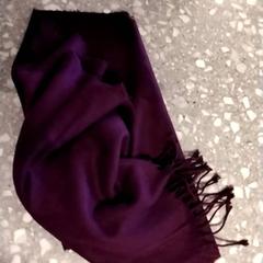 Sjal Paarse sjaal, som rapportert av Gemeente Puurs-Sint-Amands ved bruk av iLost