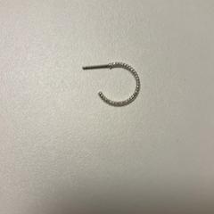 Earring, as reported by Fenix using iLost