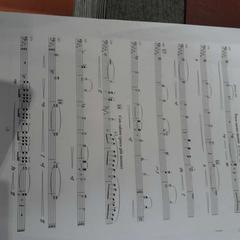 Partition de musique feuilles, as reported by TCL using iLost