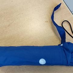 Paraigües -Blauw, segons ha informat Centraal magazijn mitjançant iLost