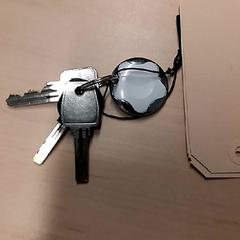 Nøkkel, som rapportert av RET ved bruk av iLost