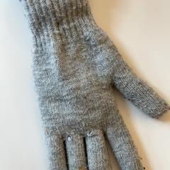 Gant grau, a été signalé par Schönbrunn "Group Center" utilisant iLost