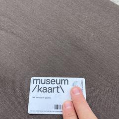 Museumjaarkaart, iLost-i jakinarazi zaion moduan