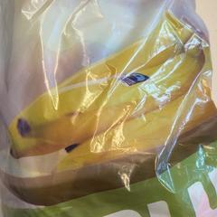 Bag, as reported by GVB using iLost