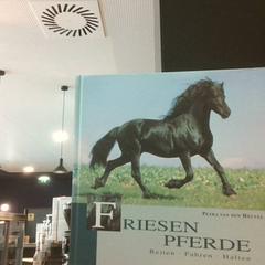 Libro, ha sido reportado por MEININGER Hotel Vienna Downtown Franz con iLost