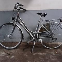 Bicicleta femenina Thompson Grijs, segons ha informat Fietsdepot Hasselt mitjançant iLost