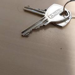 Sleutels -Abus, gemeldet von Centraal magazijn über iLost