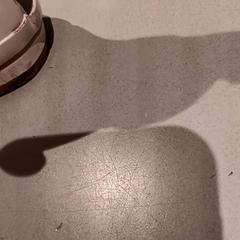 Laars, som rapportert av De Efteling ved bruk av iLost