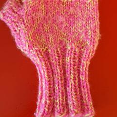 의류 Handschoen roze met geel, iLost를 사용하여 DierenPark Amersfoort에 보고됨