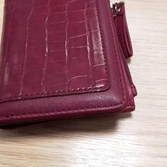 Cartera Taal, segons ha informat Qbuzz Fryslân mitjançant iLost