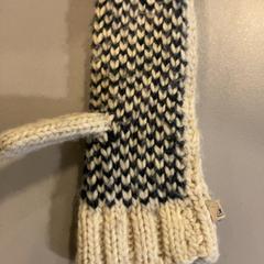 Handschoen, zoals gemeld door Artis met iLost