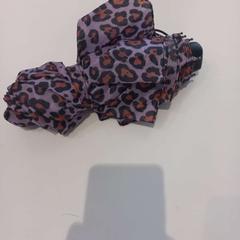 우산 Paraplu, iLost를 사용하여 Arriva Limburg Zuid에 보고됨