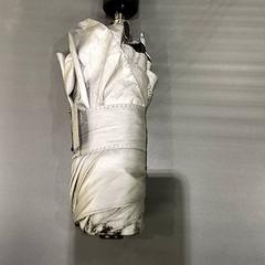 Aterkia Zilver, gisa salatu by Qbuzz GD Groningen HS iLost erabiliz