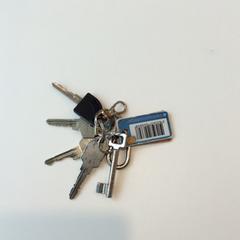 سلسلة المفاتيح، كما تم الإبلاغ عنه بواسطة Gemeente Weert عبر iLost