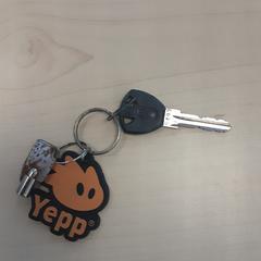 Sleutel がiLostで LUMC によって報告されました