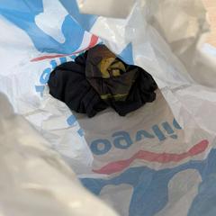 Bolsa zwemkleding, segundo informou Van Heugten Tours usando iLost