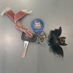 Sykkelnøkkel, som rapportert av Qbuzz GD Groningen HS ved bruk av iLost