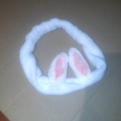 Fascia per capelli, come riportato da Grand Hotel Amrath Kurhaus utilizzando iLost