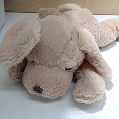 Knuffel Hond, a été signalé par IKEA Groningen utilisant iLost