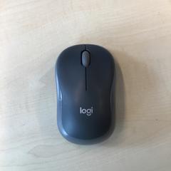 Muis がiLostで Gemeente Nijmegen によって報告されました