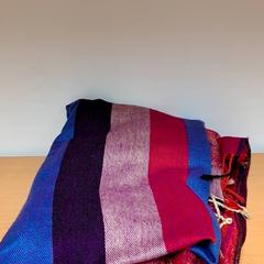 Halsduk, come riportato da Keolis Lund utilizzando iLost