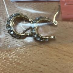 Orecchino, come riportato da Sheraton Brussels Airport Hotel utilizzando iLost