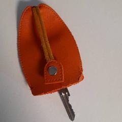 Nyckel Oranje, rapporterat av Dolfinarium med iLost