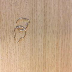 Fülbevaló, amint azt Canisius-Wilhelmina Ziekenhuis az iLost segítségével jelentette.