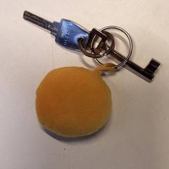 Nycklar, rapporterat av Qbuzz ZHN med iLost