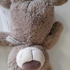 Teddybeer, rapporterat av Connexxion Haarlem IJmond med iLost